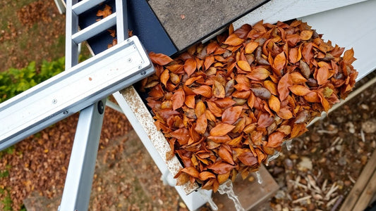 Ladder, overflowing gutter, debris, and downspout.