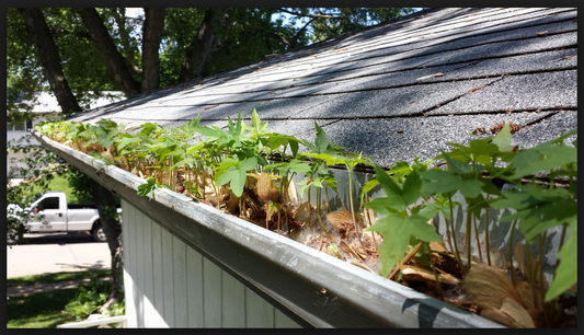 SkyVac®️ Action Photo - Gutter Close Up 6